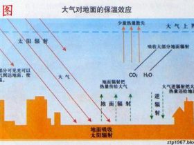 WORD绘图初级教程：⑧折线图