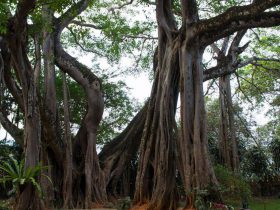 2017年高考真题分类解析之自然带