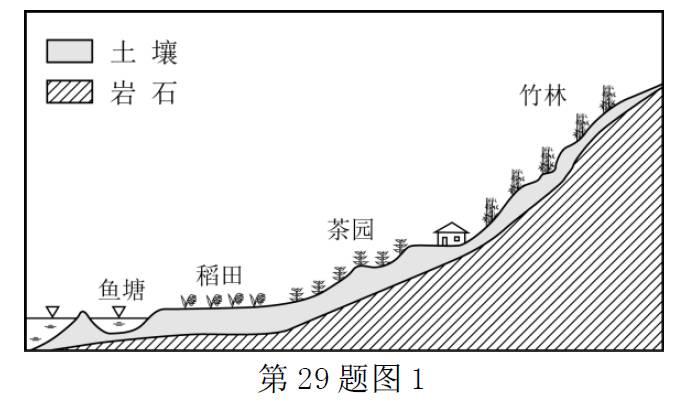 【超清版】2017年11月浙江学考、选考地理试卷（含答案）